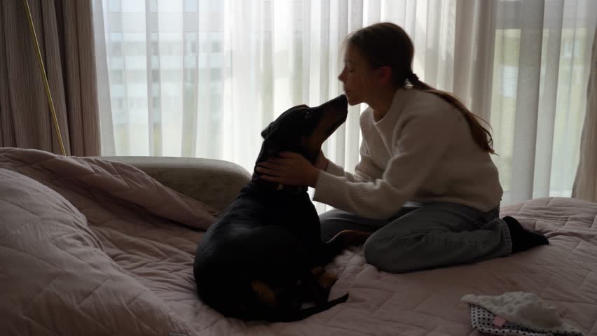 Person tenderly cuddles their loyal dog on cozy bed, bathed in soft window light, highlighting their intimate and serene bond.