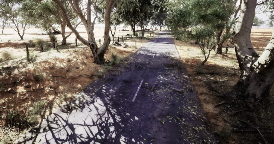 A long, empty road stretches through a rural area, shaded by tall trees and dappled sunlight. Sparse vegetation indicates a dry environment. Shadows dance on the pavement.