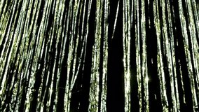 Shiny tinsel shimmering in the sun. Holiday decorations. - Powered by Shutterstock - Get 15% off with code: PIKWIZARD15