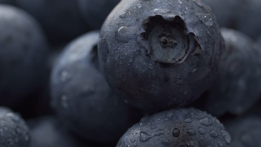 A macro shot of a blueberry with water droplets as moving light highlights its natural surface details