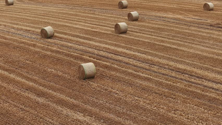 Aerial footage showing golden straw bales on a mown farm field during harvest season.