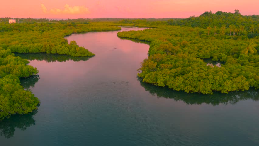 Aerial view of the winding Sucuri River surrounded by dense green tropical forest. The river flows under a vibrant pink and orange sunset sky in Brazil.