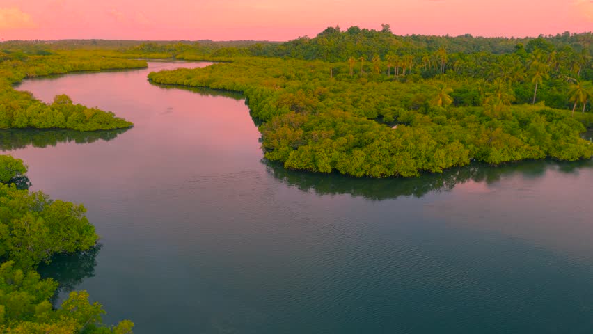 Aerial view of a winding river flowing through dense mangrove forest at sunset, Sucuri River, Brazil.