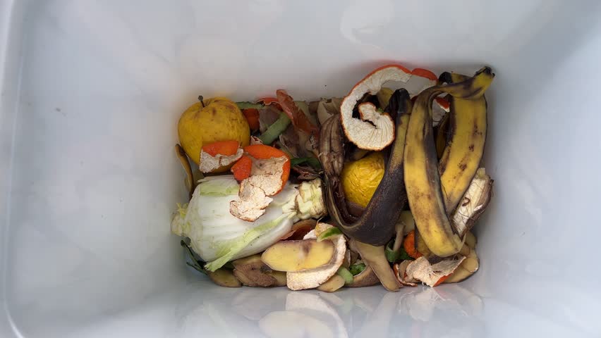 Food scraps in a compost bin. Composting Organic Food Waste for producing fertile soil