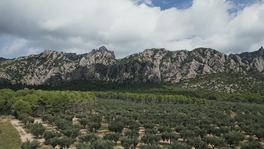 Panoramic aerial view of the majestic montserrat mountain range in catalonia, with lush green olive groves and pine forests stretching across the valley under a partly cloudy summer sky