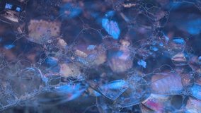 Abstract macro of blue soap film and bubbles. Iridescent reflections and soft bokeh create a premium texture for backgrounds, promos, science and beauty themes. - Powered by Shutterstock - Get 15% off with code: PIKWIZARD15