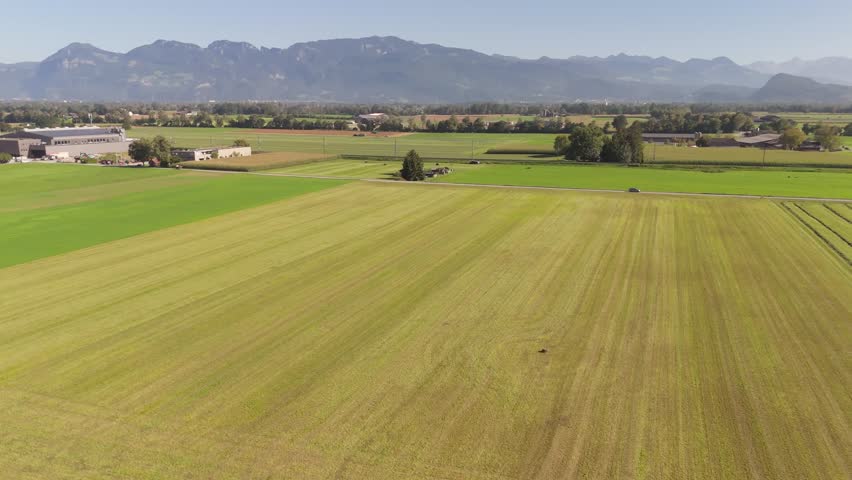 Cultivated green and yellow fields in rural area of Switzerland. Sunny summer day with car on intersection road. Aerial flyover shot. Alp mountains in distance.