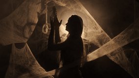 Silhouette of Dramatic witch or vampire woman with spider on dark spiderwebs background. Halloween fantasy horror scene. - Powered by Shutterstock - Get 15% off with code: PIKWIZARD15