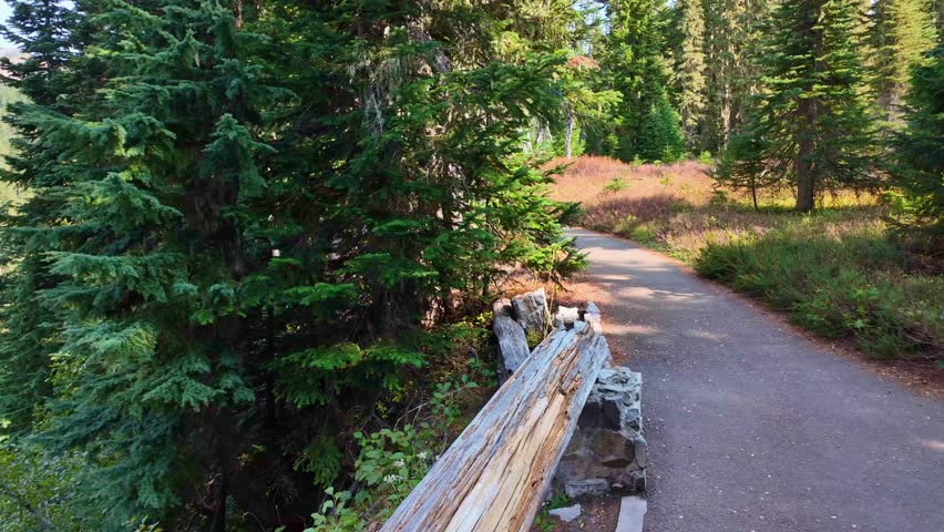 A scenic view of Mount Rainier as seen from the popular Nisqually Vista Trail in Mount Rainier National Park