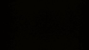 2 Million followers realistic sign on the brick wall animation. 2k celebration neon text animation 4k. Thank you for 2 million subscribers text animation with neon glowing effect - Powered by Shutterstock - Get 15% off with code: PIKWIZARD15