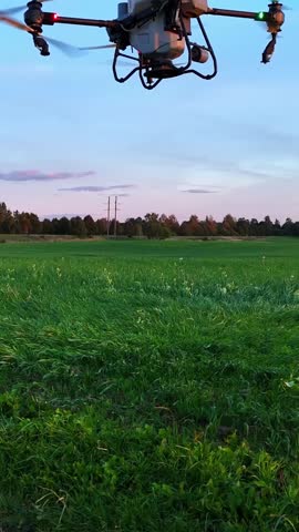 Drone descends and lands over lush crop fields during daytime vegetation monitoring or fertilizer spraying, vertical
