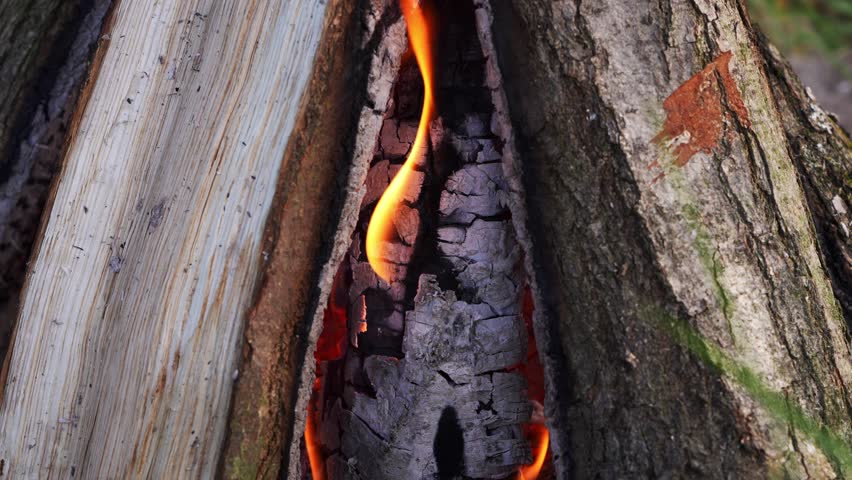A campfire is burning. A close-up of charred and glowing pieces of wood. A close-up of the campfire, the wood slowly burning, revealing the beautiful texture of the burning wood.