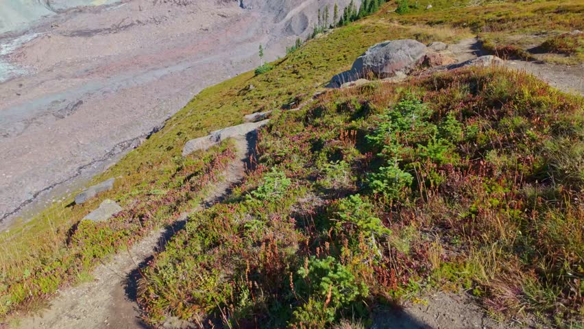 A close-up view of the majestic Mount Rainier on a clear summer day, as seen from the iconic Skyline Trail in Mount Rainier National Park