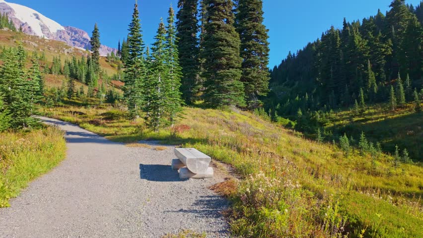 A close-up view of the majestic Mount Rainier on a clear summer day, as seen from the iconic Skyline Trail in Mount Rainier National Park