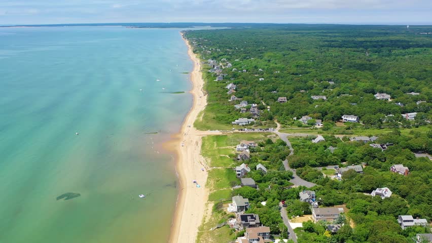 Families gather on Cape Cod beach with children splashing in shallow waves, kayakers offshore, and houses shaded by trees, creating a timeless New England coastal summer atmosphere.