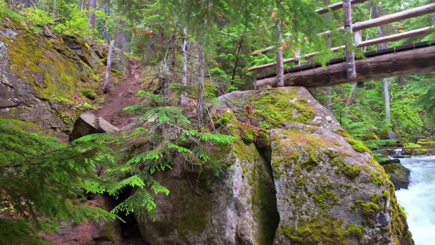Scenic river and lush forest of Washington