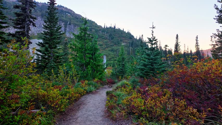 Scenic view of the Bench and Snow Lakes trail with brilliant red and orange fall foliage under a clear sky in Mount Rainier National Park