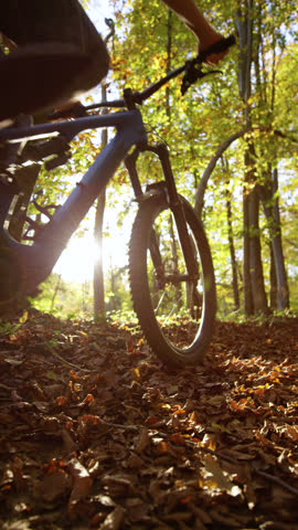 VERTICAL, LENS FLARE, LOW ANGLE VIEW, SLOW MOTION: Cyclist rides through autumn forest bathed in sunlight filtering through golden trees and blanketed in fallen leaves. Outdoor activity in fall season