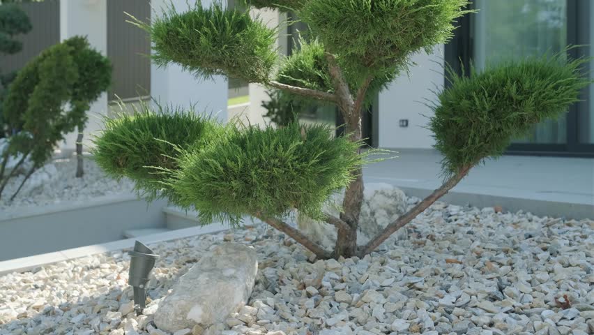 Tropical garden plants and white stones near modern fence