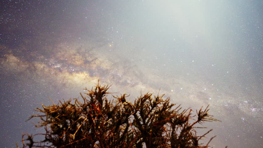 Timelapse of the milky way above a bush