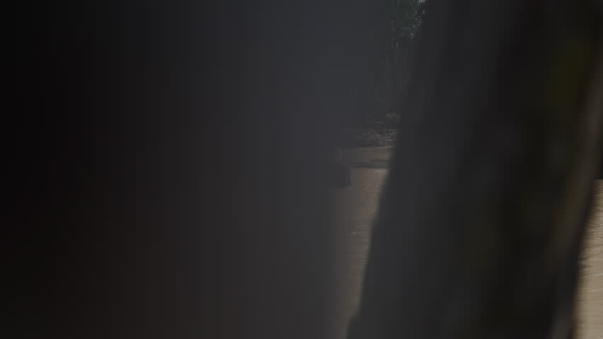 Elephant family bathing in a muddy river