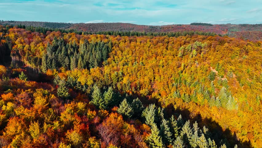 Aerial drone view of autumn forest in the mountains. High quality 4k footage