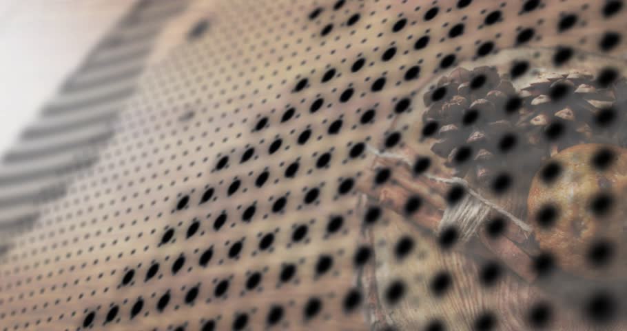 Dot grid appearing at right sweeping over pinecones with cinnamon bundle revealing wood slab decor. Rustic, natural, seasonal, textured, cozy, digital, transition