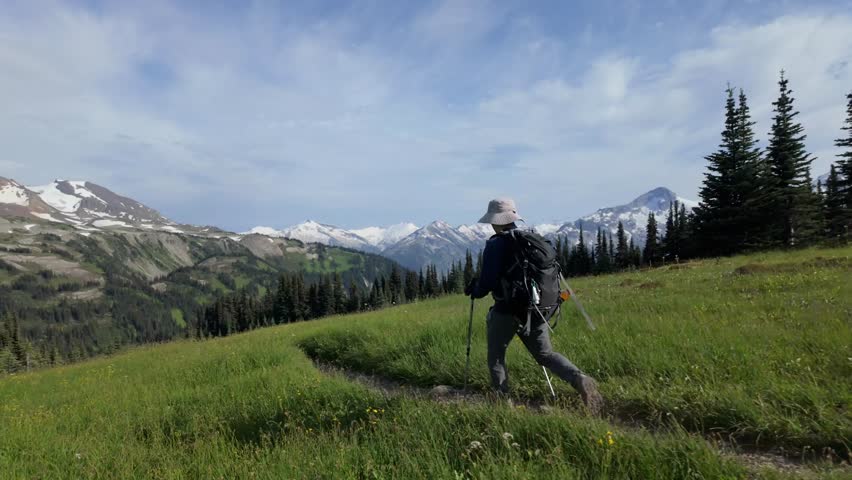Hiker Walks Through Lush Green Alpine Meadow Towards Snowy Mountains in Whistler, British Columbia