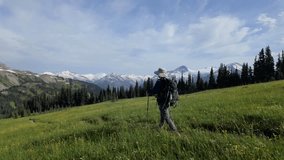 Hiker Explores a Vibrant Alpine Meadow with Majestic Snow-Capped Mountains in Whistler, British Columbia, Canada - Powered by Shutterstock - Get 15% off with code: PIKWIZARD15
