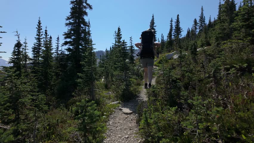 Solo Backpacker Hikes Uphill on a Scenic Mountain Trail in Whistler, British Columbia, Canada