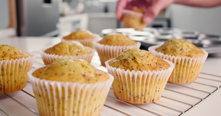 Baking, hands and process with muffins in kitchen of home for cooking or dessert preparation. Food, hunger and pastry with baker person in apartment for fresh ingredients, snack or yummy recipe