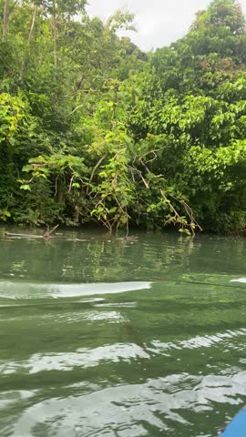 Expolre the river and find the beuty at the end