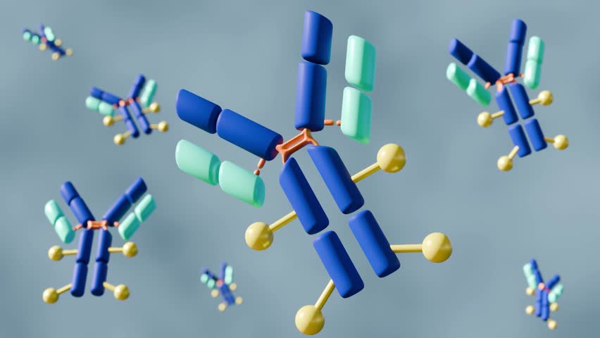 A 3D animation of multiple Y-shaped antibody molecules, foating around in the background, illustrating antibody-drug conjugates (ADCs).
