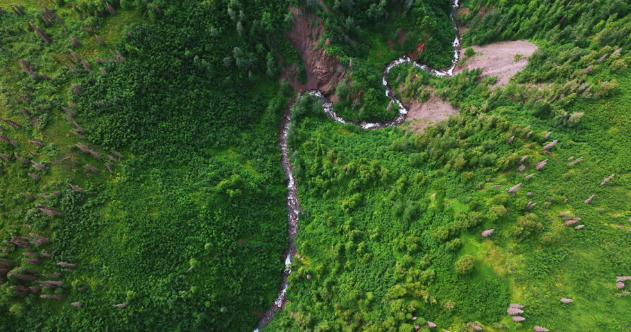 Thin wavy line of the mountain river. Top view on the rapid stream flowing among the rocks. Alaska, USA.