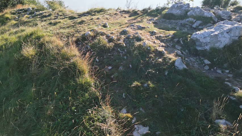 High viewpoint from Nevegal looking across treetops to Lake Santa Croce and Belluno valley with hazy blue layers of the Dolomites on a clear morning, Veneto, Italy.