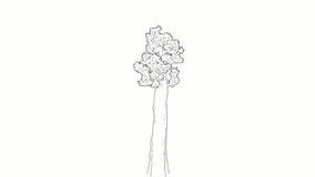 Elegant Line Art Tree Animation on White Background - Powered by Shutterstock - Get 15% off with code: PIKWIZARD15