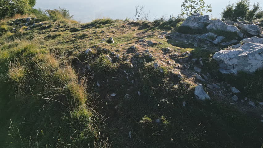 High altitude aerial from forested mountain slopes looking across Lake Santa Croce and valleys in morning haze, Belluno province, Veneto, northern Italy.