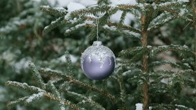 Christmas Tree Branch with Purple Glitter Ornament Bauble Rotating in Winter Snowfall. Holiday Decoration Festive Seasonal Background. Christmas Ball on the Pine Tree in the Snowy Forest Outdoor - Powered by Shutterstock - Get 15% off with code: PIKWIZARD15