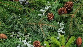Eco-Friendly Festive Background. Close-up of Spinning Christmas Greenery with Pine and Fir Twigs. Winter Botanical Flat Lay with Pine Cones and Juniper on Rotation - Powered by Shutterstock - Get 15% off with code: PIKWIZARD15