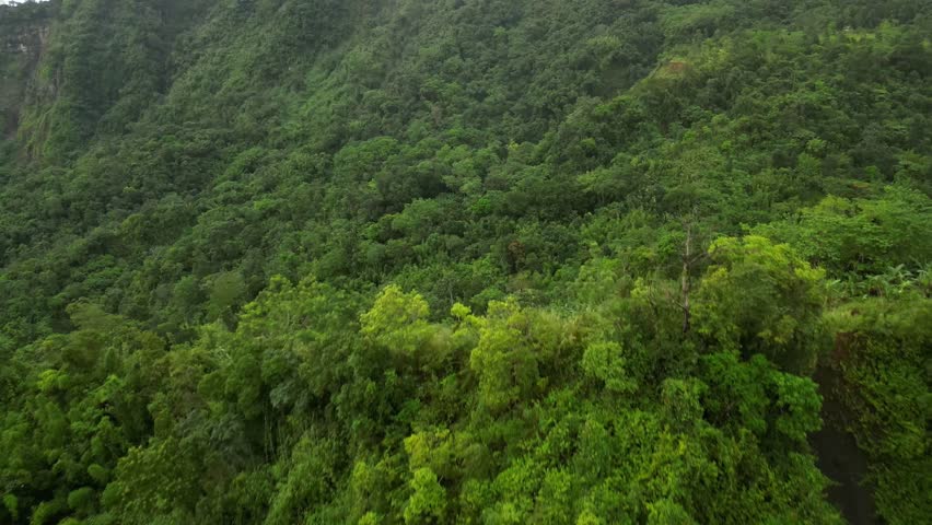 A medium static angle holds throughout, framing a temple facade with green and red tiled roofs, dragon sculptures, and geometric motifs. Lush plants surround the structure in a serene setting.