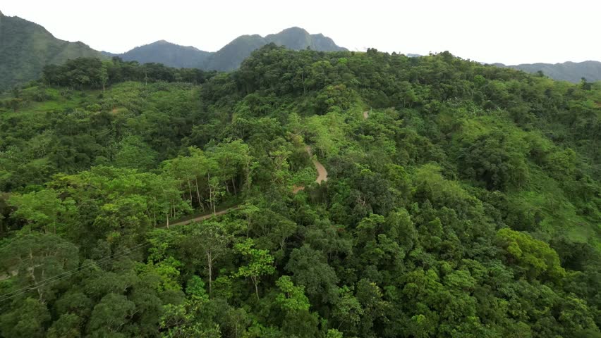 Aerial shot opens over forested hills and a winding dirt road, then slightly zooms in and moves forward. The motion reveals layered greenery, mountain slopes, and immersive natural textures.