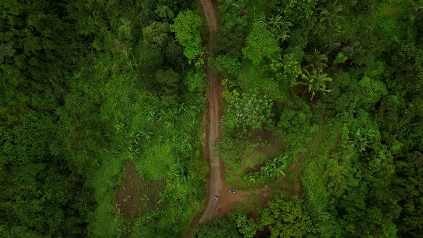 An aerial shot tracks over a winding dirt road through dense forest, slowly zooming out just slightly. The subtle shift reveals layered canopy and emphasizes scale, motion, and natural rhythm.