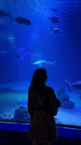 Watching fascinating sea creatures swim in a large aquarium at night near the ocean