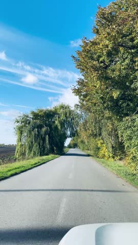 asphalt road, path, vertical video, autumn, yellow leaves