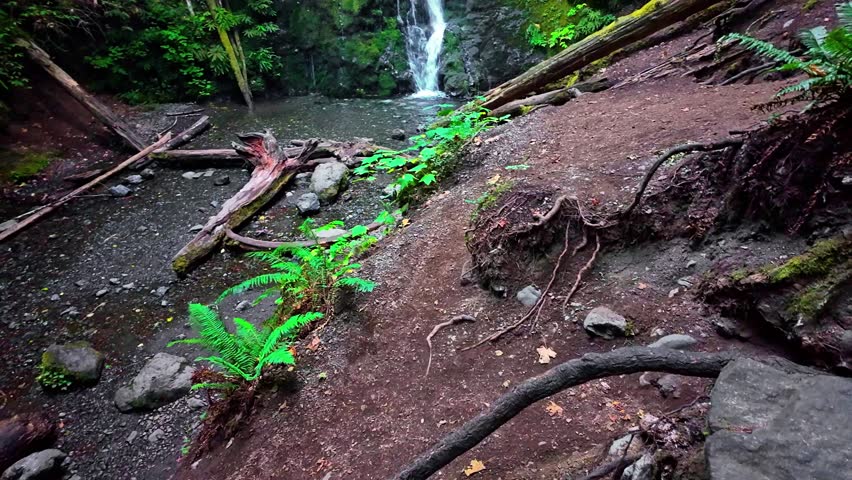 A scenic view of Madison Falls cascading through a lush, moss-covered forest in Olympic National Park