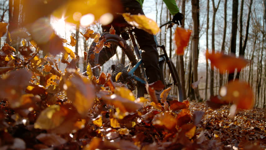 LENS FLARE, SLOW MOTION, LOW ANGLE VIEW: Adrenaline biker rides through forest, scattering fallen leaves in golden autumn light as he brakes through a curve.