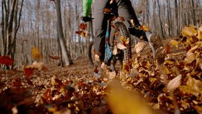 SLOW MOTION, CLOSE UP, LOW ANGLE VIEW: Mountain bike wheel scatters dry autumn leaves on a trail as fearless bike rider rushes through sunny autumn forest. Adrenaline sports in vibrant fall season. - Powered by Shutterstock - Get 15% off with code: PIKWIZARD15