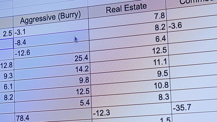 A digital spreadsheet accounting for profits and cash outflows for various stocks An analyst reviews spreadsheets with coefficient calculations. High quality 4k footage
