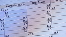A digital spreadsheet accounting for profits and cash outflows for various stocks An analyst reviews spreadsheets with coefficient calculations. High quality 4k footage - Powered by Shutterstock - Get 15% off with code: PIKWIZARD15