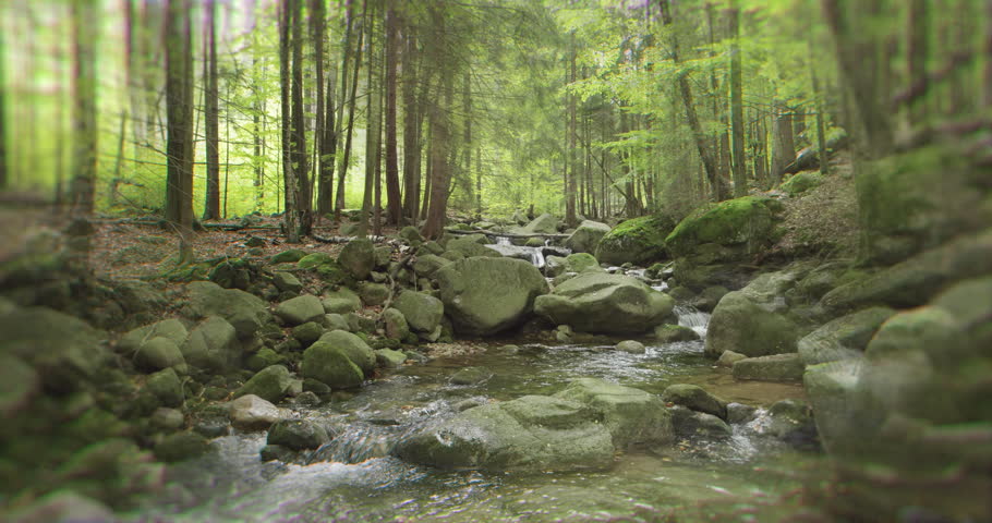 Tranquil beauty of a pristine forest stream, as clear water cascades over moss-covered rocks and pebbles amidst lush green trees. A stacked rock cairn adds to the natural, calm, and serene atmosphere.